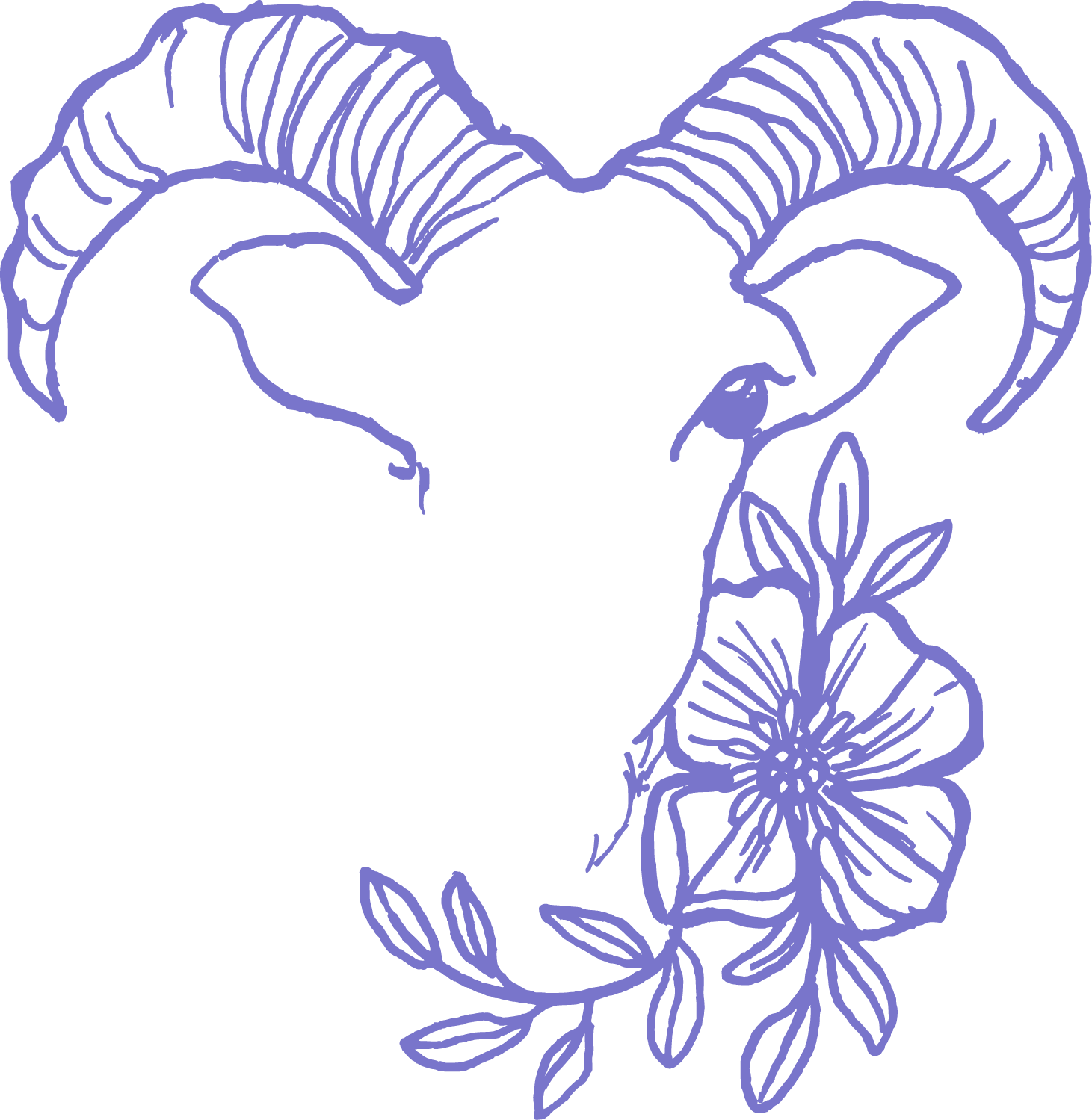 Capricorn